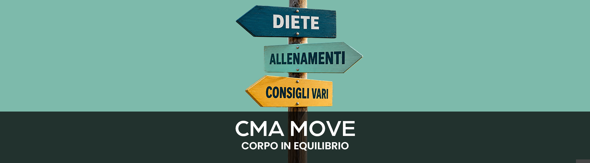 CMA MOVE
